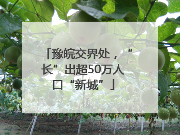 豫皖交界处，“长”出超50万人口“新城”