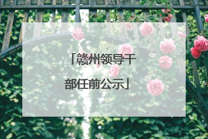 赣州领导干部任前公示