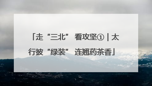 走“三北” 看攻坚①｜太行披“绿装” 连翘药茶香
