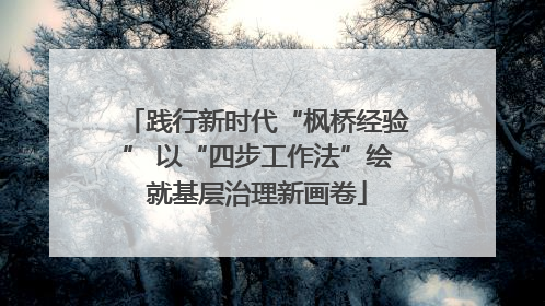 践行新时代“枫桥经验” 以“四步工作法”绘就基层治理新画卷