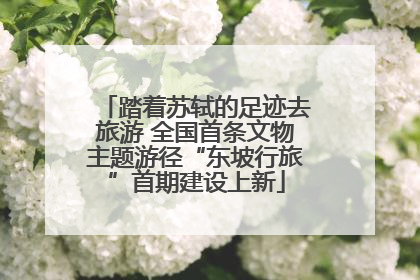 踏着苏轼的足迹去旅游 全国首条文物主题游径“东坡行旅”首期建设上新
