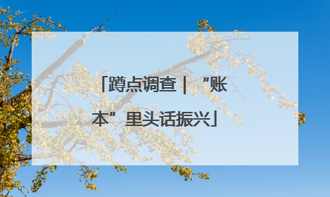 蹲点调查｜“账本”里头话振兴