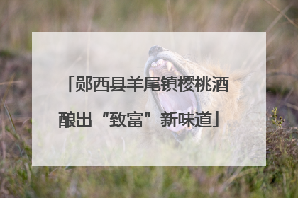 郧西县羊尾镇樱桃酒酿出“致富”新味道