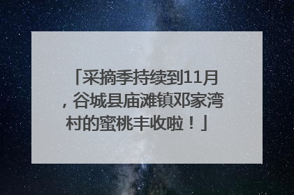 采摘季持续到11月，谷城县庙滩镇邓家湾村的蜜桃丰收啦！