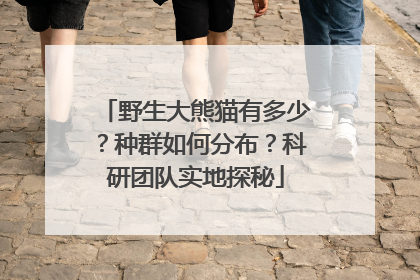 野生大熊猫有多少？种群如何分布？科研团队实地探秘