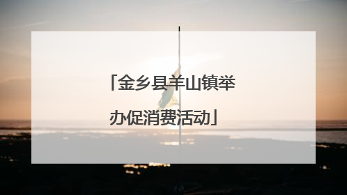 金乡县羊山镇举办促消费活动