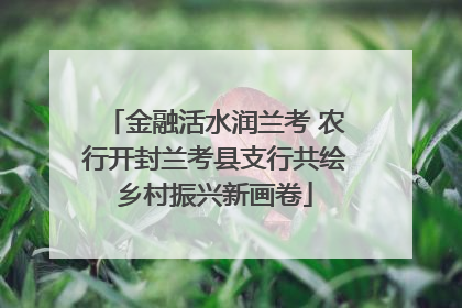 金融活水润兰考 农行开封兰考县支行共绘乡村振兴新画卷