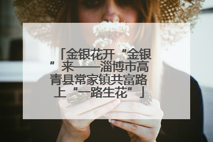 金银花开“金银”来——淄博市高青县常家镇共富路上“一路生花”
