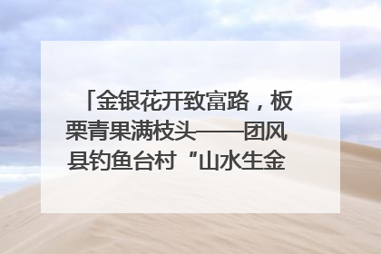金银花开致富路，板栗青果满枝头——团风县钓鱼台村“山水生金”谱写共富新篇章
