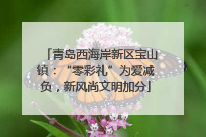 青岛西海岸新区宝山镇：“零彩礼”为爱减负，新风尚文明加分