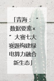 青海：“数据要素×”大赛七大赛题构建绿电算力融合新生态