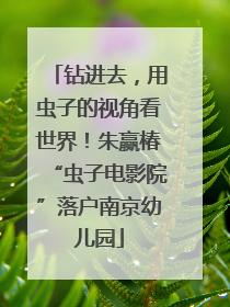 钻进去，用虫子的视角看世界！朱赢椿“虫子电影院”落户南京幼儿园