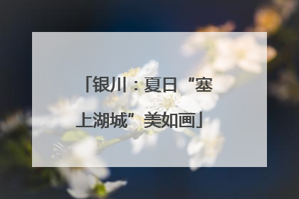 银川：夏日“塞上湖城”美如画