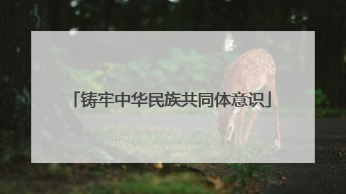 铸牢中华民族共同体意识