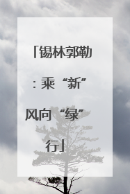 锡林郭勒：乘“新”风向“绿”行