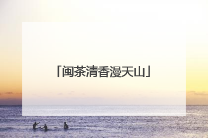 闽茶清香漫天山