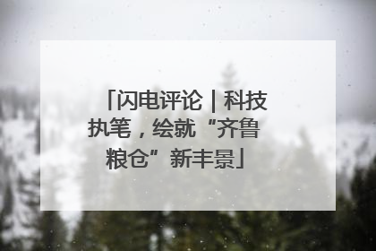 闪电评论｜科技执笔，绘就“齐鲁粮仓”新丰景