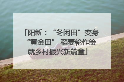 阳新：“冬闲田”变身“黄金田” 稻麦轮作绘就乡村振兴新篇章
