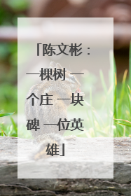 陈文彬：一棵树 一个庄 一块碑 一位英雄