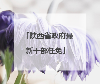 陕西省政府最新干部任免