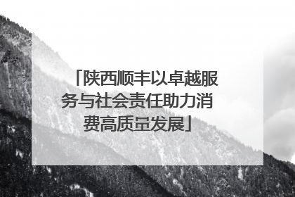 陕西顺丰以卓越服务与社会责任助力消费高质量发展