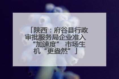 陕西：府谷县行政审批服务局企业准入“加速度” 市场生机“更盎然”