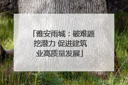 雅安雨城：破难题 挖潜力 促进建筑业高质量发展