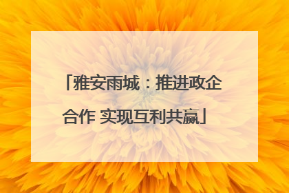 雅安雨城：推进政企合作 实现互利共赢