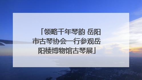 领略千年琴韵 岳阳市古琴协会一行参观岳阳楼博物馆古琴展