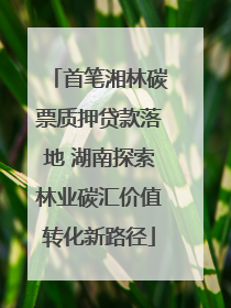首笔湘林碳票质押贷款落地 湖南探索林业碳汇价值转化新路径