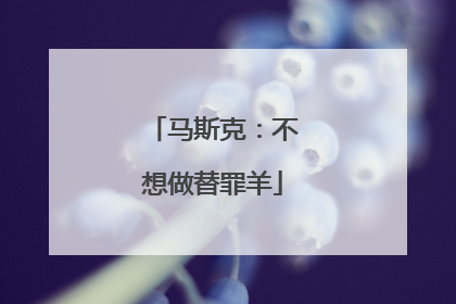 马斯克：不想做替罪羊