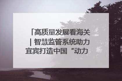 高质量发展看海关｜智慧监管系统助力宜宾打造中国“动力电池之都”