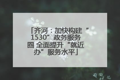 齐河：加快构建“1530”政务服务圈 全面提升“就近办”服务水平