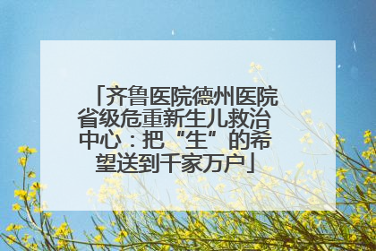 齐鲁医院德州医院省级危重新生儿救治中心：把“生”的希望送到千家万户