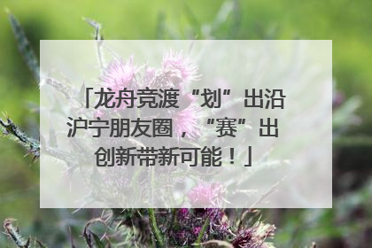 龙舟竞渡“划”出沿沪宁朋友圈，“赛”出创新带新可能！