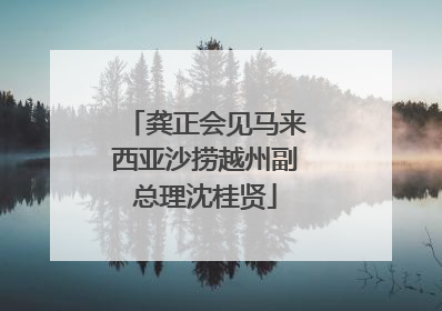 龚正会见马来西亚沙捞越州副总理沈桂贤