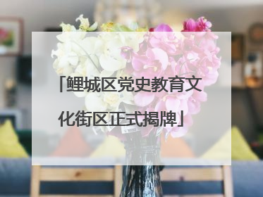 鲤城区党史教育文化街区正式揭牌