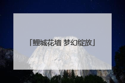 鲤城花墙 梦幻绽放