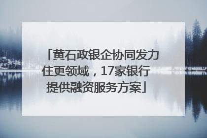 黄石政银企协同发力住更领域，17家银行提供融资服务方案