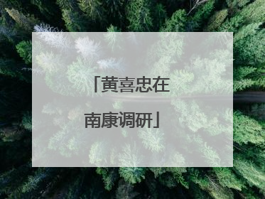 黄喜忠在南康调研