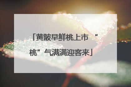 黄陂早鲜桃上市 “桃”气满满迎客来