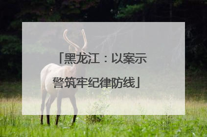 黑龙江：以案示警筑牢纪律防线