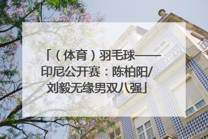 （体育）羽毛球——印尼公开赛：陈柏阳/刘毅无缘男双八强