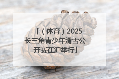 （体育）2025长三角青少年滑雪公开赛在沪举行