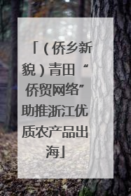 （侨乡新貌）青田“侨贸网络”助推浙江优质农产品出海