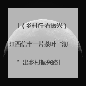 （乡村行·看振兴）江西信丰一片茶叶“沏”出乡村振兴路