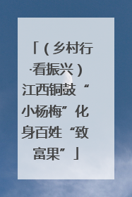 （乡村行·看振兴）江西铜鼓“小杨梅”化身百姓“致富果”