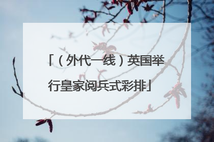 （外代一线）英国举行皇家阅兵式彩排