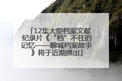 12集大型档案文献纪录片《“档”不住的记忆——聊城档案故事》将于近期播出
