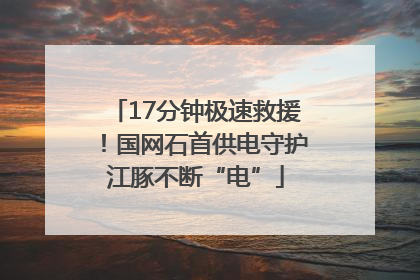 17分钟极速救援！国网石首供电守护江豚不断“电”